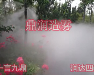 噴霧造景的優勢帶來別樣的韻味